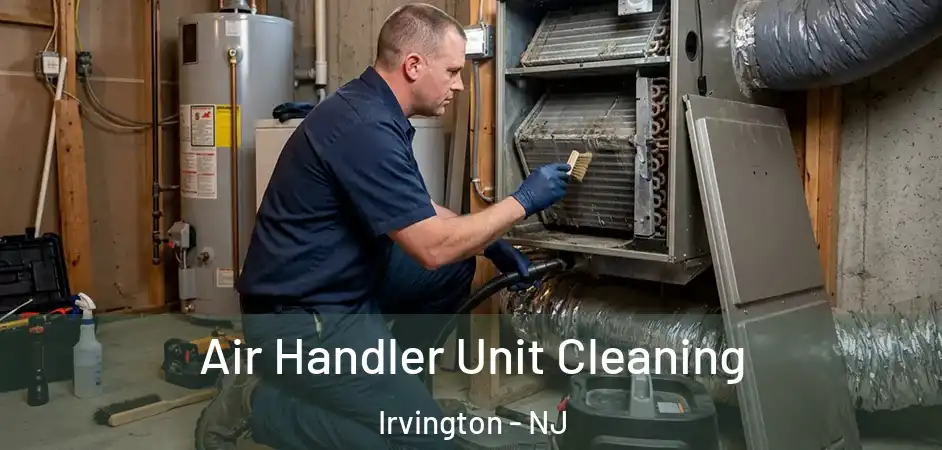 Air Handler Unit Cleaning Irvington - NJ
