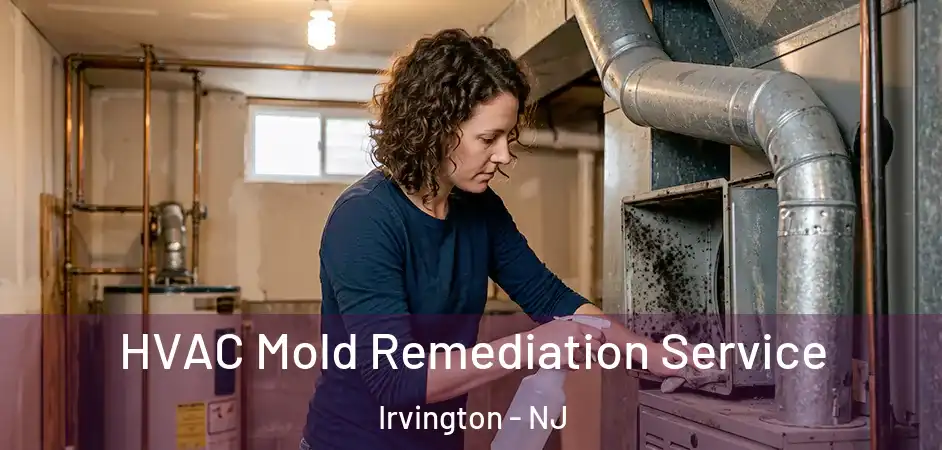 HVAC Mold Remediation Service Irvington - NJ