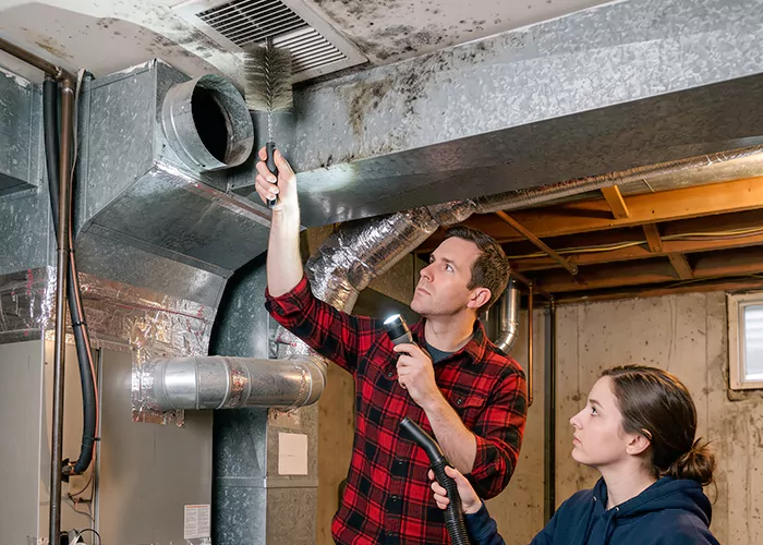 Premier HVAC Mold Remediation Company in Irvington